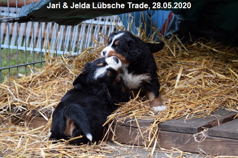 Jari & Jelda Lbsche Trade, 28.05.2020