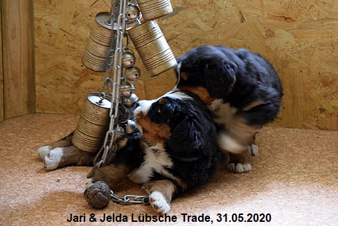 Jari & Jelda Lbsche Trade, 31.05.2020
