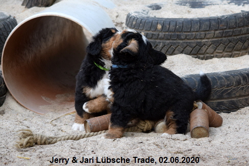Jerry & Jari Lbsche Trade, 02.06.2020