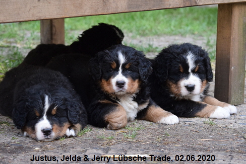 Justus, Jelda & Jerry Lbsche Trade, 02.06.2020