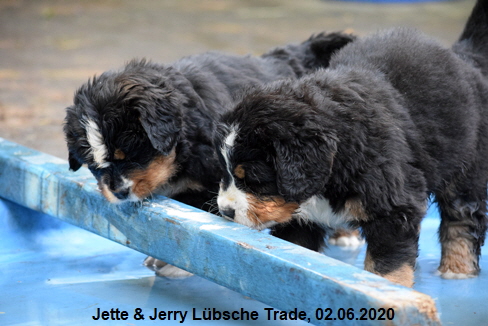 Jette & Jerry Lbsche Trade, 02.06.2020