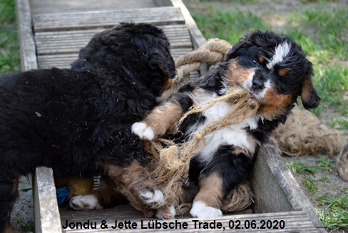 Jondu & Jette Lbsche Trade, 02.06.2020