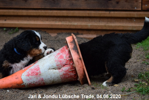 Jari & Jondu Lbsche Trade, 04.06.2020