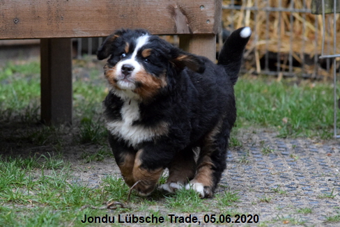 Jondu Lbsche Trade, 05.06.2020