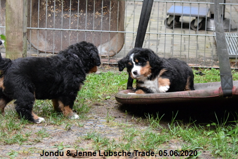 Jondu & Jenne Lbsche Trade, 05.06.2020