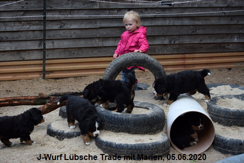 J-Wurf Lbsche Trade mit Marlen, 05.06.2020