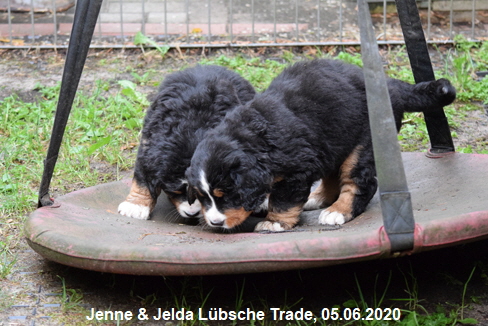 Jenne & Jelda Lbsche Trade, 05.06.2020