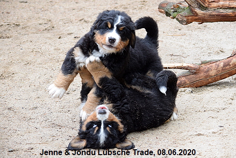 Jenne & Jondu Lbsche Trade, 08.06.2020
