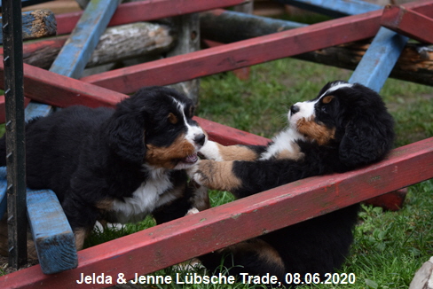 Jelda & Jenne Lbsche Trade, 08.06.2020