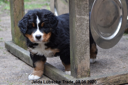 Jelda Lbsche Trade, 08.06.2020