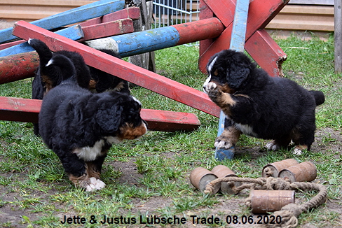 Jette & Justus Lbsche Trade, 08.06.2020