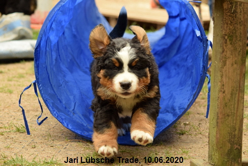 Jari Lbsche Trade, 10.06.2020