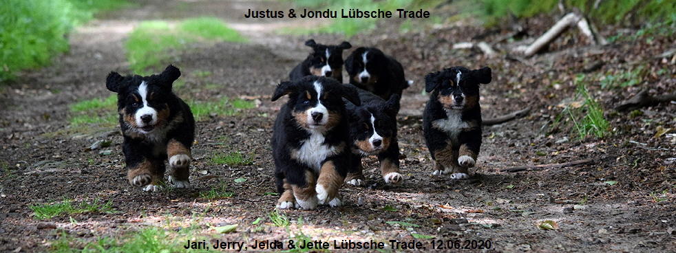 Justus & Jondu Lbsche Trade, Jari, Jerry, Jelda & Jette Lbsche Trade, 12.06.2020