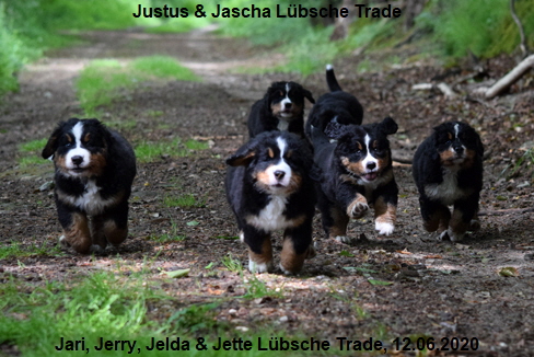Justus & Jascha Lbsche Trade, Jari, Jerry, Jelda & Jette Lbsche Trade, 12.06.2020