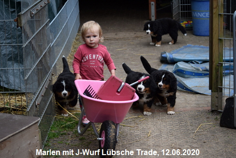 Marlen mit J-Wurf Lbsche Trade, 12.06.2020