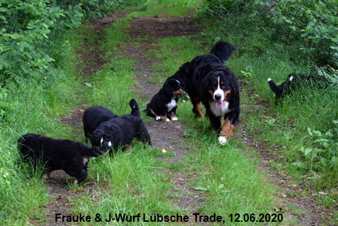 Frauke & J-Wurf Lbsche Trade, 12.06.2020