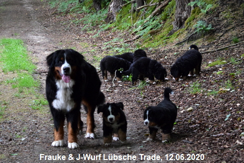 Frauke & J-Wurf Lbsche Trade, 12.06.2020