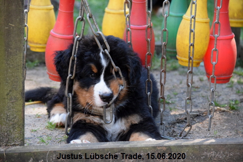 Justus Lbsche Trade, 15.06.2020