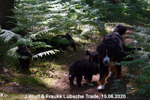 J-Wurf & Frauke Lbsche Trade, 15.06.2020