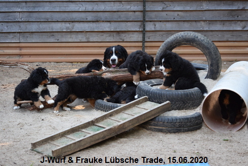 J-Wurf & Frauke Lbsche Trade, 15.06.2020