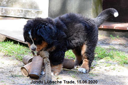 Jondu Lbsche Trade, 15.06.2020
