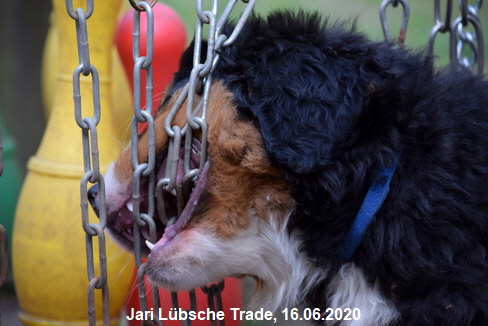 Jari Lbsche Trade, 16.06.2020
