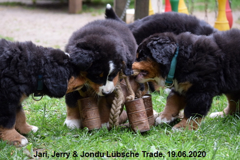 Jari, Jerry & Jondu Lbsche Trade, 19.06.2020