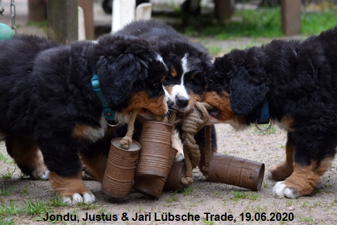 Jondu, Justus & Jari Lbsche Trade, 19.06.2020