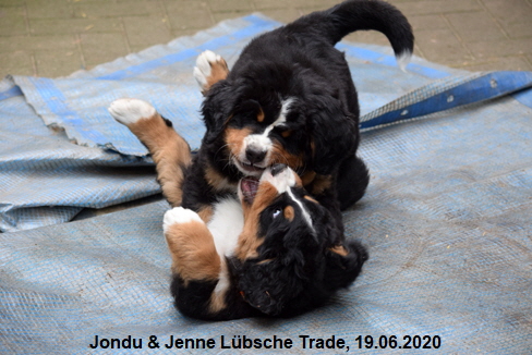 Jondu & Jenne Lbsche Trade, 19.06.2020