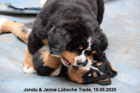 Jondu & Jenne Lbsche Trade, 19.06.2020