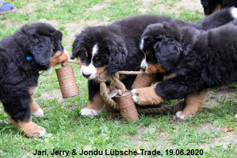 Jari, Jerry & Jondu Lbsche Trade, 19.06.2020