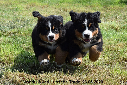 Jondu & Jari Lbsche Trade, 23.06.2020