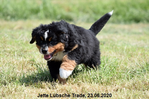 Jette Lbsche Trade, 23.06.2020