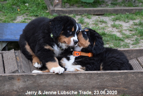 Jerry & Jenne Lbsche Trade, 23.06.2020