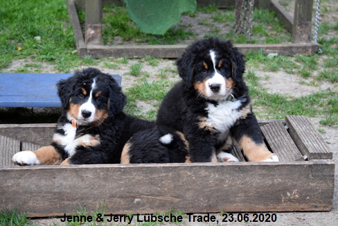 Jenne & Jerry Lbsche Trade, 23.06.2020