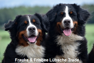 Frauke & Frisbee Lbsche Trade