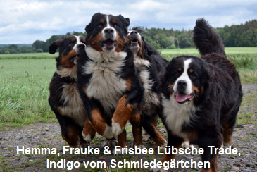 Hemma, Frauke & Frisbee Lbsche Trade, Indigo vom Schmiedegrtchen