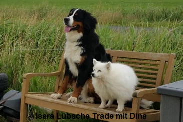 Isara Lbsche Trade mit Dina