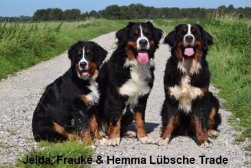 Jelda, Frauke & Hemma Lbsche Trade