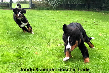 Jondu & Jenne Lbsche Trade