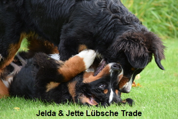 Jelda & Jette Lbsche Trade