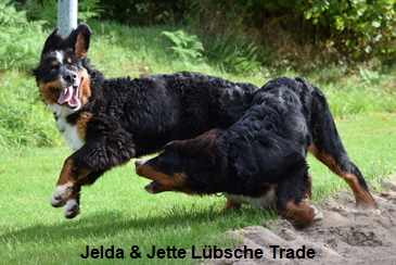 Jelda & Jette Lbsche Trade