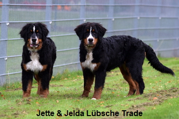 Jette & Jelda Lbsche Trade