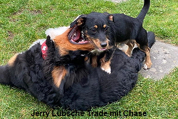 Jerry Lbsche Trade mit Chase