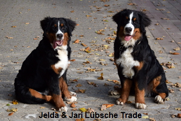 Jelda & Jari Lbsche Trade
