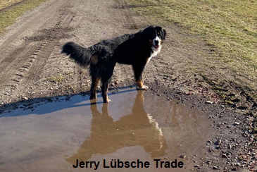 Jerry Lbsche Trade
