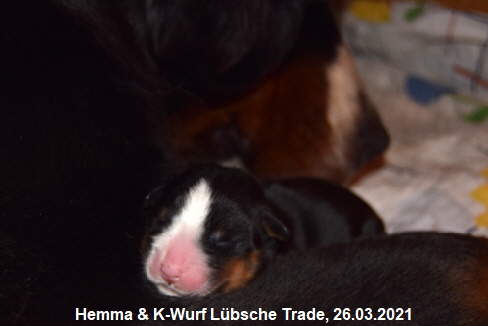 Hemma & K-Wurf Lübsche Trade, 26.03.2021