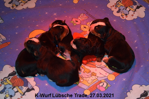 K-Wurf Lübsche Trade, 27.03.2021