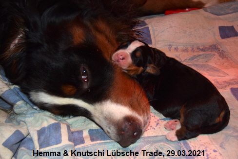Hemma & Knutschi Lübsche Trade, 29.03.2021