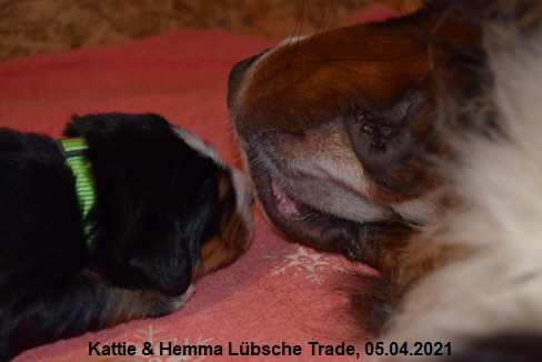 Kattie & Hemma Lübsche Trade, 05.04.2021